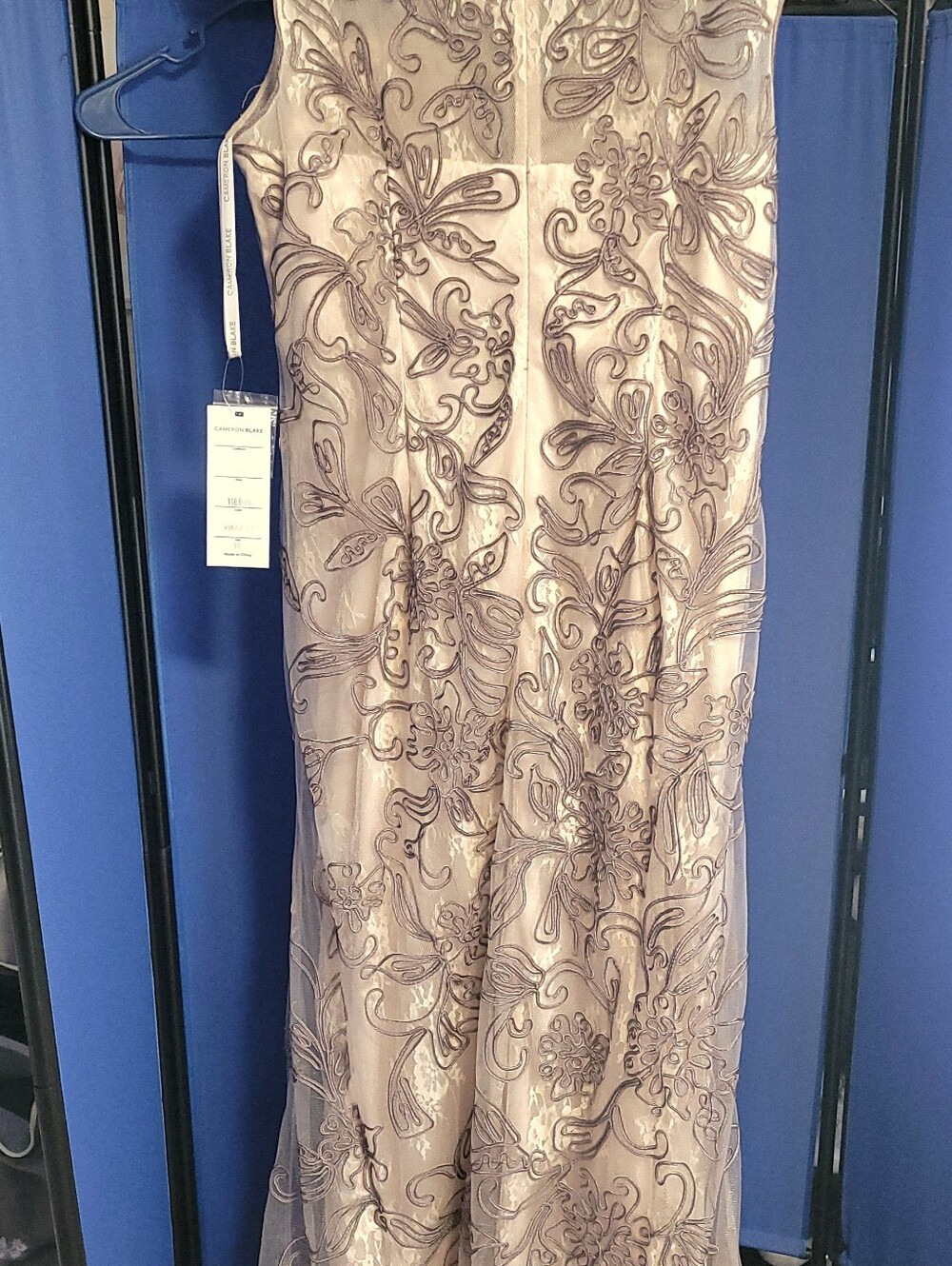 Cameron Blake Blush Maxi Dress with Silver Embroidery - Picture 3 of 9